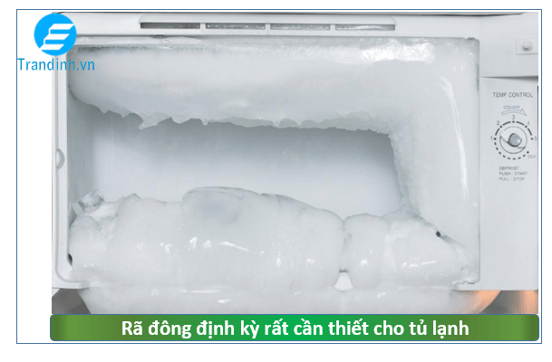 Rã động tủ lạnh theo lịch