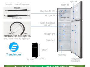 Phác hoạ tổng quan tủ lạnh Toshiba Inverter 253 lít GR-B31VU UKG