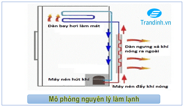 Tủ lạnh bị nóng và cách khắc phục 7 nguyên lý làm mát của tủ lạnh