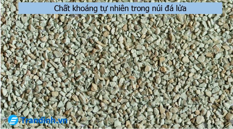 Công nghệ sấy Zeolite của máy rửa bát Canzy là gì?