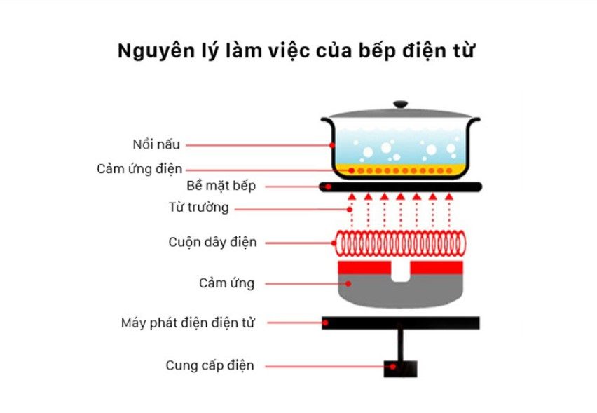 Hướng dẫn cách sử dụng bếp từ Giovani【Xem ngay】 2 2. Nguyên lý hoạt động của bếp Giovani