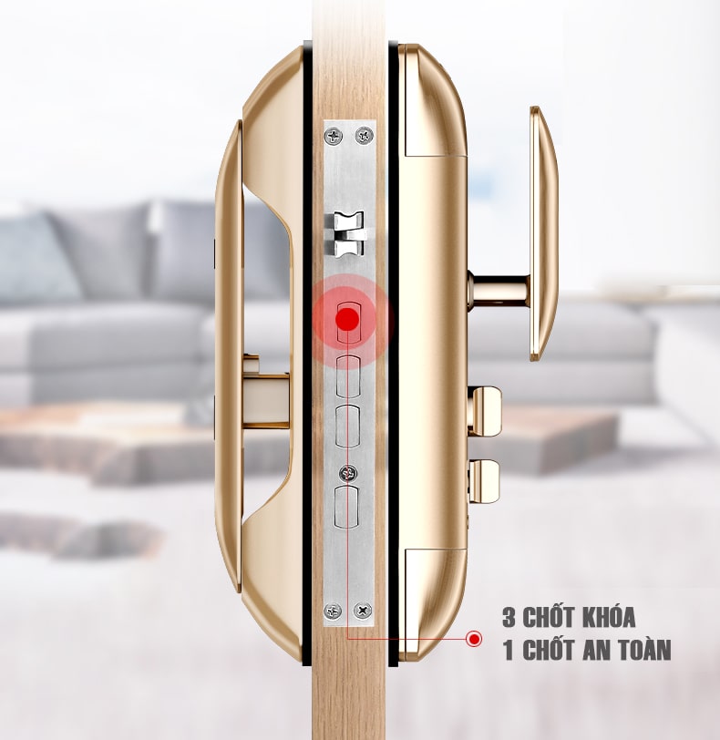 Khoá điện tử 5asystem SK8000 - Vân tay, mã số, thẻ từ 6 Khoá cửa điện tử 5A SK8000 sở hữu thiết kế hiện đại, sang trọng