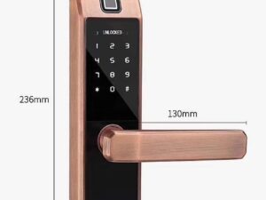 Khoá cửa vân tay Gigasun D04R 4 Khoá thông minh Gigasun D04R thiết kế sang trọng, hiện đại, độ bền cao