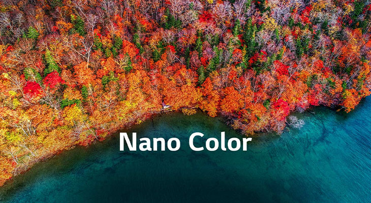 So sánh tivi Nano Cell và tivi OLED: Nên chọn mua loại nào ? 3 Nano Color