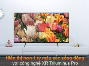4. Hiển thị hơn 1 tỷ màu sắc sống động với công nghệ XR Triluminus Pro