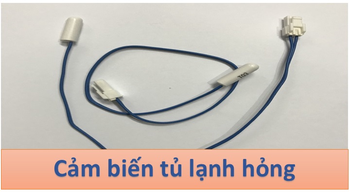 tu lanh hitachi bao loi f1 10 1 1