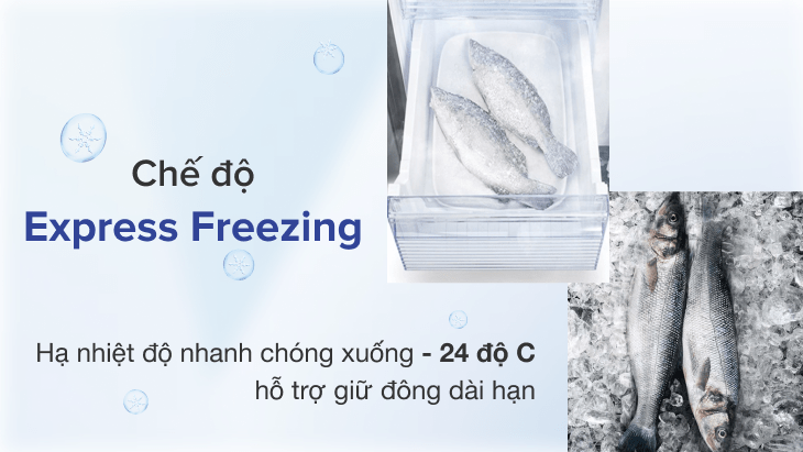 Làm đông thực phẩm nhanh chóng với chế độ làm đông nhanh ExPress Freezing