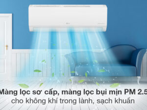 Điều hòa LG V10WIN Inverter 1 chiều 9000BTU (1HP) 6 Điều hòa LG Inverter 8800 BTU V10WIN - Khả năng lọc không khí