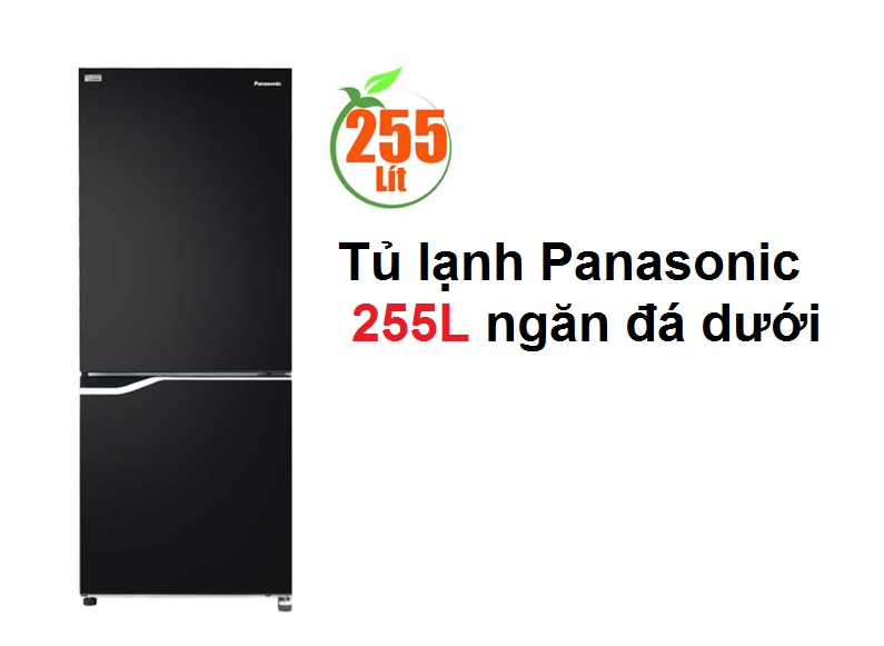 Tủ lạnh Panasonic 255L ngăn đá dưới 