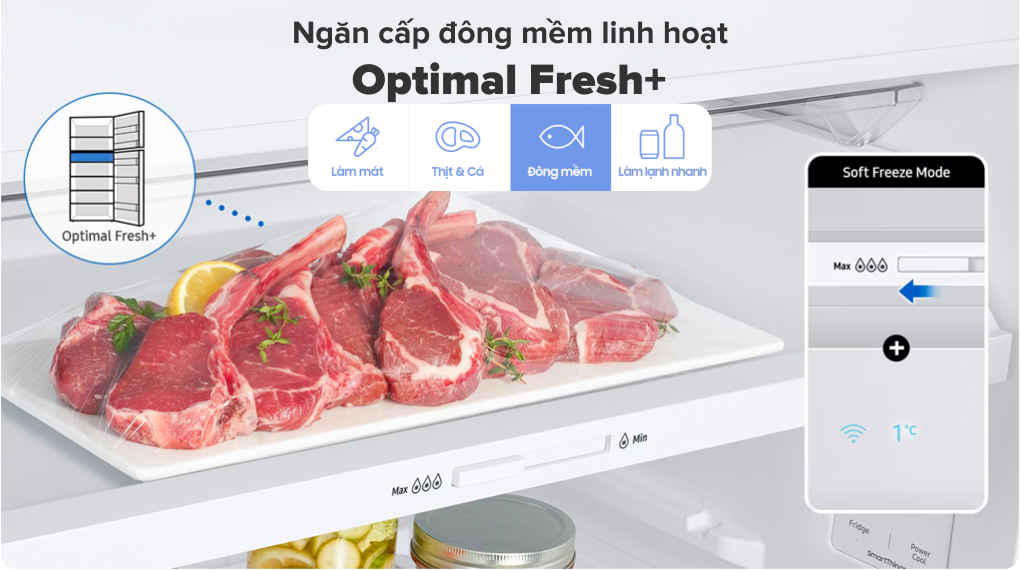 Tủ lạnh Samsung Inverter 382 lít RT38CG6584B1SV - Ngăn đông mềm linh hoạt Optimal Fresh 