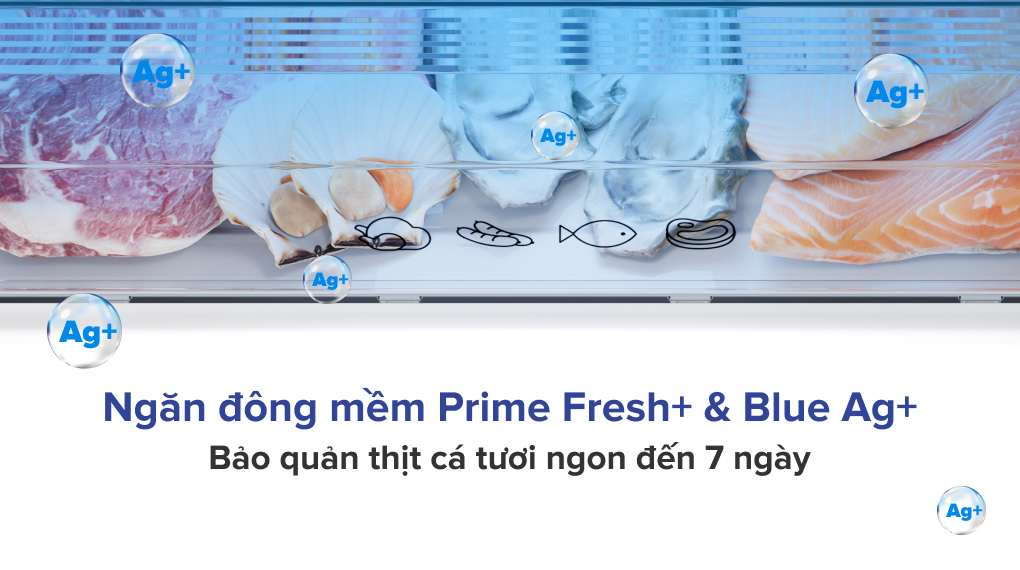 Tủ lạnh Panasonic Inverter 255 lít NR-BV281BGMV - Ngăn đông mềm diệt khuẩn Prime Fresh & Blue Ag 