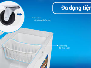 Tủ đông Hòa Phát 252 lít HPF AN6252