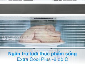 Tủ lạnh Sharp Inverter 360 lít SJ-XP382AE-DS - Ngăn đông mềm