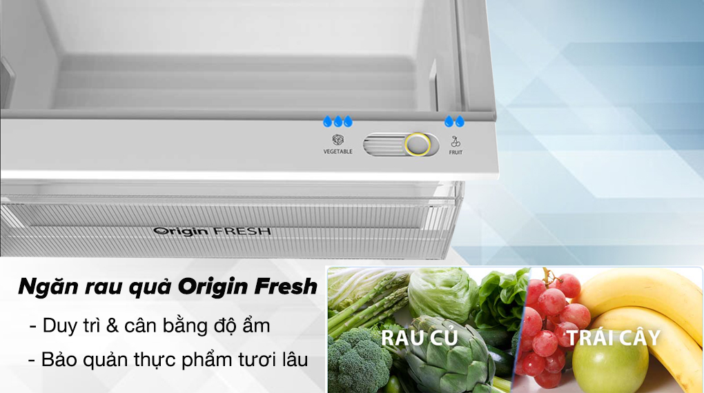 Tủ lạnh Toshiba Inverter 312 lít GR-RT416WE-PMV(58)-MM - Ngăn rau quả Origin Fresh duy trì độ tươi ngon và chất dinh dưỡng rau củ quả