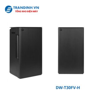 DW-T30FV-H