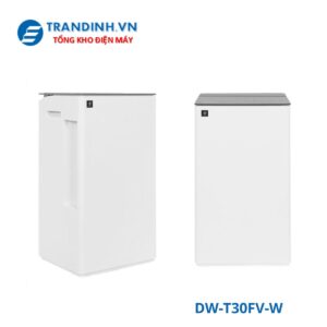 DW-T30FV-W