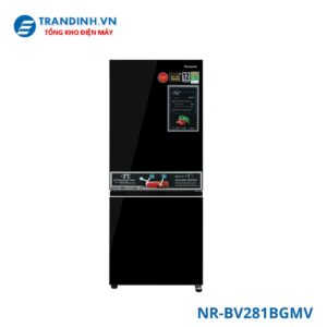 NR-BV281BGMV