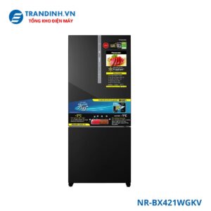 NR-BX421WGKV
