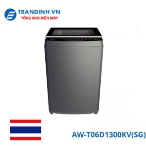 AW-T06D1300KVSG.