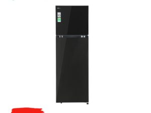 T21BG